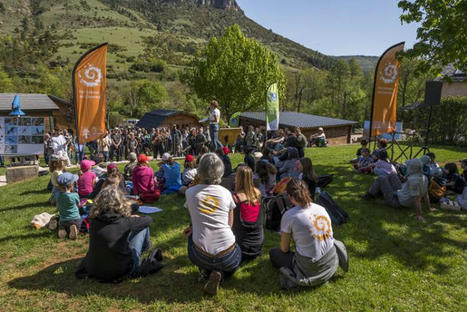 Gypa&egrave;tes barbus : r&eacute;cit du l&acirc;cher dans les Grands Causses - Parc national des C&eacute;vennes | Biodiversit&eacute; | Scoop.it