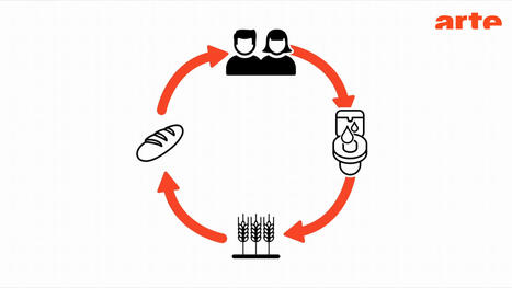 La valorisation des urines humaines en AGRICULTURE - ARTE | CIHEAM Press Review | Scoop.it