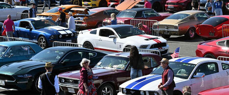 "C’est une voiture mythique, celle que l’on voit le plus dans les films"… Les passionnés de Mustang réunis ce week-end à Albi | Destination Albi - revue de presse | Scoop.it