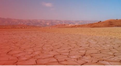 Sécheresse au MAROC : « Dans certaines zones, il n’y a plus rien à pomper » | MED-Amin network | Scoop.it