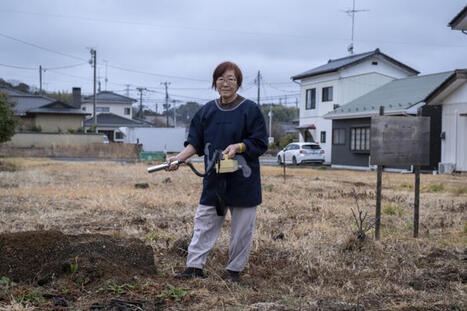 &Agrave; Fukushima, &laquo;&nbsp;on oublie la radioactivit&eacute;, puis on se rappelle&nbsp;; cela s&rsquo;efface puis cela revient&nbsp;&raquo; | Non au Nucl&eacute;aire | Scoop.it