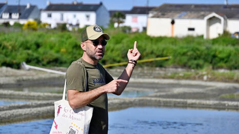 Pourquoi ces paludiers de Batz-sur-Mer ne sont-ils pas comme les autres ? - Ouest France | Agriculture en Pays de la Loire | Scoop.it