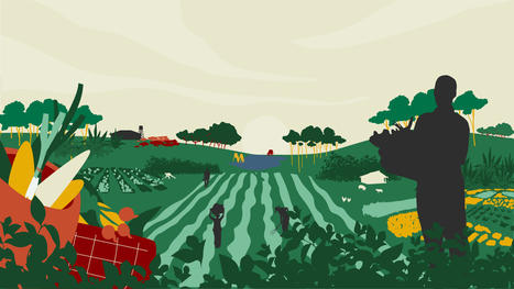 What is Agroecology?  | REVOLVE | Energy Transition in Europe | www.energy-cities.eu | Scoop.it