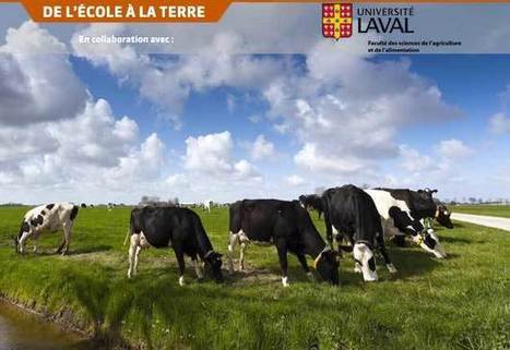 Les vertus inexplorées du gras laitier | Lait de Normandie... et d'ailleurs | Scoop.it