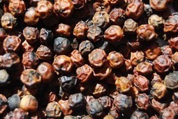 Le Poivre rouge | Epices, aromates, poivre et vanille | Scoop.it