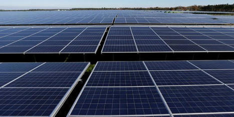 Biodiversité : un nouvel observatoire pour évaluer l'impact des éoliennes et panneaux solaires sur la nature | rev3 - la 3ème révolution industrielle en Hauts-de-France | Scoop.it