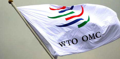 OMC : à Abou Dabi, un sommet ministériel aux multiples enjeux | COMMERCE & LOGISTIQUE | Scoop.it