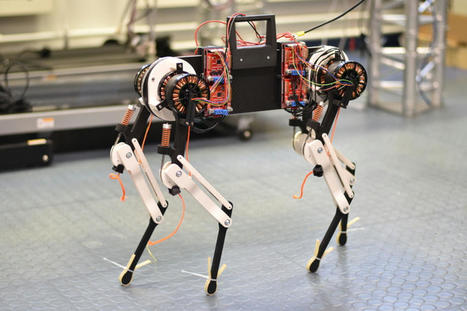 Machine Intelligence: Robot Dog Learns to Walk within One Hour Time | Amazing Science | Scoop.it