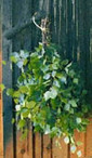 Finnish Sauna: Dictionary | 1Uutiset - Lukemisen tähden | Scoop.it