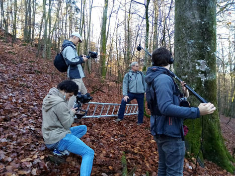 "Quand l'écologie sort du bois" : le film documentaire du Vosgien Julien King-Georges | La SELECTION du Web | CAUE des Vosges - www.caue88.com | Scoop.it