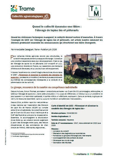 Quand le collectif dynamise une fili&egrave;re : l&rsquo;&eacute;levage de lapins bio et p&acirc;turants - Trame | Pour innover en agriculture | Scoop.it