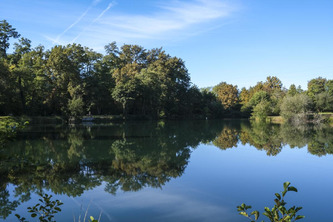 Dans les Landes, un &eacute;tang teint&eacute; en bleu pour lutter contre une plante exotique invasive | Landes - Conseils municipaux & communautaires | Scoop.it