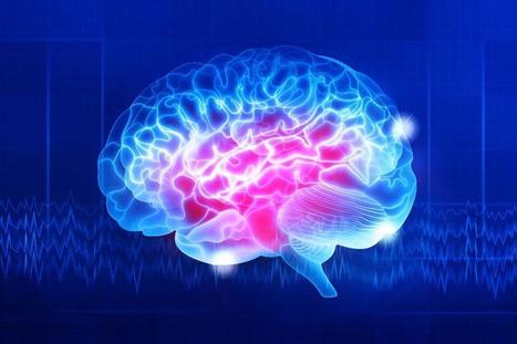 4 Habits You Didn't Know Were Holding Back Your Brain Performance | Positive Psychology | Scoop.it