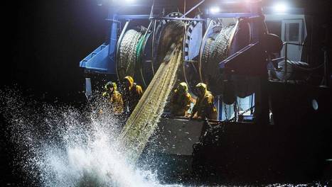 L’Europe va-t-elle réintroduire les aides à la surpêche ? | HALIEUTIQUE MER ET LITTORAL | Scoop.it