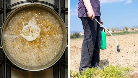 Tant pis pour les géants de la chimie : 6 recettes simples et bio pour un désherbant efficace ! | La Sagesse de la Nature | Scoop.it