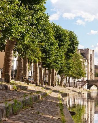 Publication du guide "L'arbre, élément de patrimoine urbain" | ESPACES VEGETALISES URBAINS | Scoop.it