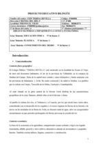 PROYECTO BILINGÜE 2009 | Bilingual Education & CLIL Projects - Proyectos en E. B. & AICLE | Scoop.it