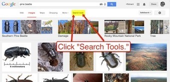 Google Improves Image Search Tools Menu | Eclectic Technology | Scoop.it