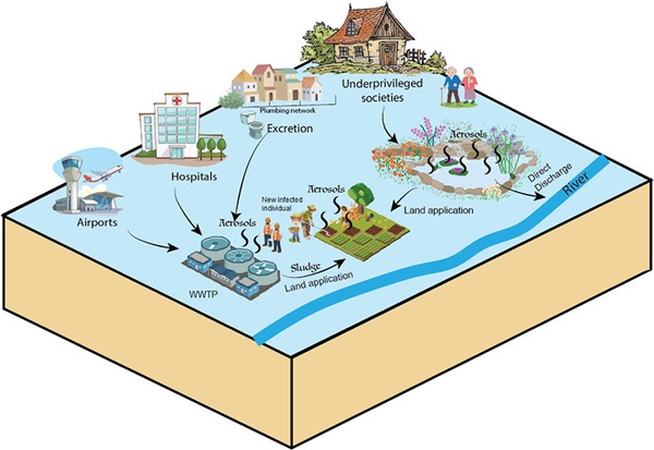 Transmission of SARS-CoV-2 via fecal-oral and aerosols–borne routes: Environmental dynamics and implications for wastewater management in underprivileged societies | Covid-19, SARS-Cov-2, vaccines, Remdesivir, Chloroquine...and all that Jazz | Scoop.it