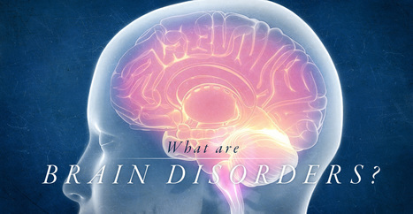 What are Brain Disorders? | El Paso, TX Chiropractor | Call: 915-850-0900 | Neuropathy "The Painful Enigma" | Scoop.it
