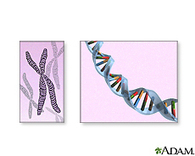 MedlinePlus | Genetic Disorders | Scoop.it