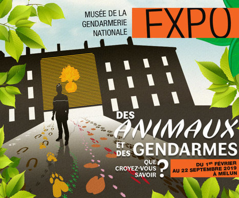 Exposition "Des animaux et des gendarmes. Que croyez-vous savoir ?" | Variétés entomologiques | Scoop.it