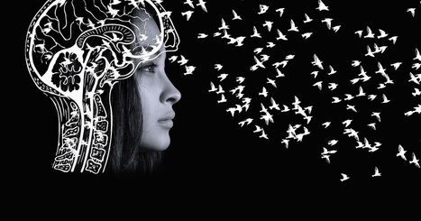 Cuentos de brujas y otras zarandajas: ¿Atender ese cerebro mediador? | Educación, TIC y ecología | Scoop.it