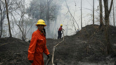 Venezuela battles record wildfires worsened by Amazon drought | Coastal Restoration | Scoop.it