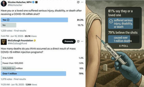 🚨Public Reports Widespread C-19 Shot Harms in New X Polls | Nicolas Hulscher, MPH | Hésitations Vaccinales: Observatoire HESIVAXs | Scoop.it