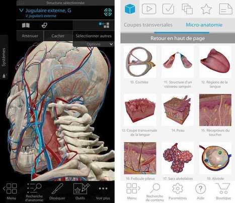 Un atlas d&rsquo;anatomie humaine &agrave; l&rsquo;URCA | Le fil d'actualit&eacute;s de l'URCA | Scoop.it