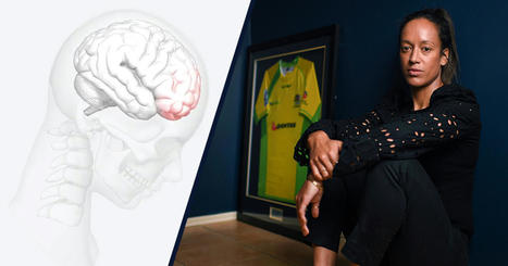 Concussion in sport: Australian Institute of Health and Welfare data reveals increase in brain injuries, NRL and Rugby Australia urged to do more | Carlton Football Club - AFL | Scoop.it