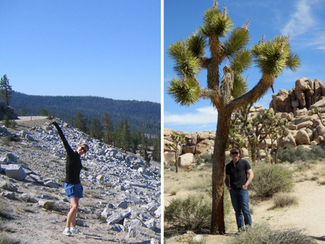 EURAM : pleins feux sur le &laquo; last minute &raquo; ! | Les evolutions de l'offre touristique | Scoop.it