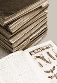 (EN) - Brewer's Dictionary of Phrase & Fable | factmonster.com | Glossarissimo! | Scoop.it