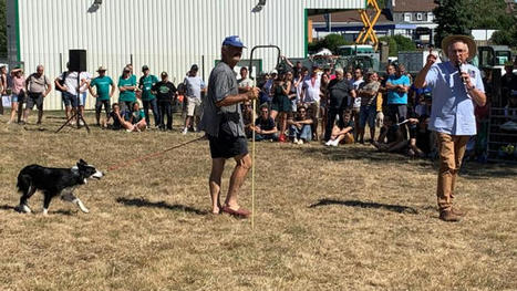 Un chien de conduite adjug&eacute; 3&nbsp;000&nbsp;euros &agrave; Tech-Ovin | Actualit&eacute;s de l'&eacute;levage | Scoop.it