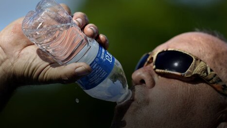 ‘House of Horrors’: Pest Experts Discover Up to 1,000 Rats Inside Southern California Home - Saluda Standard Sentinel | Industry 411 - Waste Management | Scoop.it