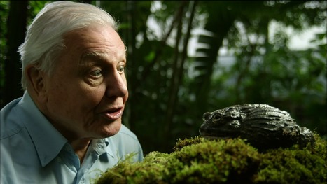 David Attenborough is releasing an app that features 1,000 clips of his own work | Creative teaching and learning | Scoop.it