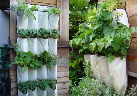 DIY Vertical Herb Garden with a Shoe Organizer | greenUPGRADER | Vintage Living Today For A Future Tomorrow | Scoop.it