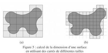 Que signifie « dimension » ? [Mathématiques] | Veille Éducative - L'actualité de l'éducation en continu | Scoop.it