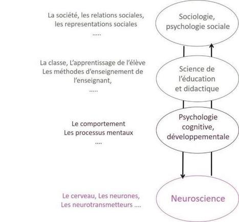 ANALYSE / L'apport des neurosciences &agrave; la recherche sur l'inclusion scolaire | Site du R&eacute;seau national des &Eacute;SP&Eacute; | Innovation et transformation p&eacute;dagogique | Scoop.it