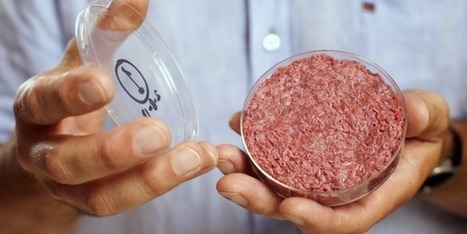 Le plan marketing pour vous faire acheter de la future viande artificielle | Post-Sapiens, les êtres technologiques | Scoop.it