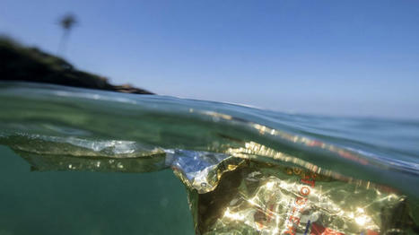 Les États-Unis et en Malaisie face à la pollution plastique des océans / le 09.02.2022 | Pollution accidentelle des eaux (+ déchets plastiques) | Scoop.it