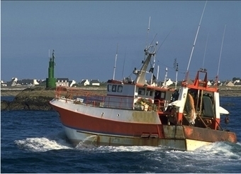 Recopesca - Pour une pêche durable | HALIEUTIQUE MER ET LITTORAL | Scoop.it