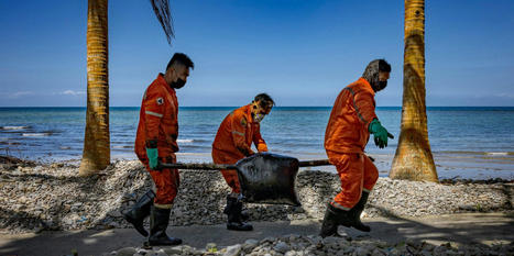Photos: Oil Spill Off Coast of Philippines Causes Devastation - Business Insider | Agents of Behemoth | Scoop.it