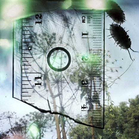 Stephen Gill : “Talking to Ants” | Photography Now | Scoop.it