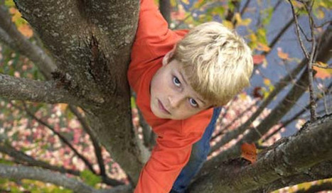 Steiny: Eliminating Risks for Kids Kills Important Learning // Education News | Educational Psychology, AI, & Emerging Technologies: Critical Thinking on Current Trends | Scoop.it