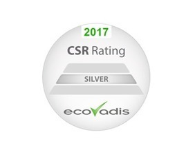 Packsize erhält Silber Auszeichnung von EcoVadis - Packsize® Deutsch | Erfolgsgeschichten von EcoVadis Kunden | Scoop.it