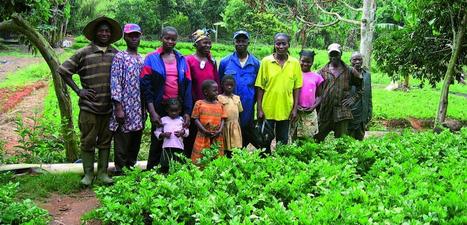 L’agriculture, une histoire de famille | Questions de développement ... | Scoop.it