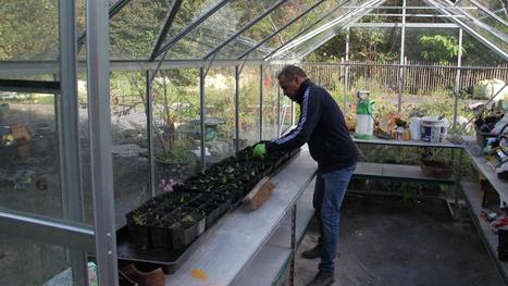 Lille: le Jardin Niwa Hanagara, plus qu&rsquo;un espace vert, un lieu de vie, &agrave; Moulins | Nature en ville | Scoop.it