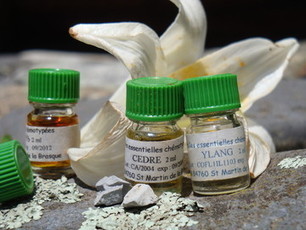 Vibration d'une huile essentielle - L'Olfactotherapie | Aromathologie | Scoop.it