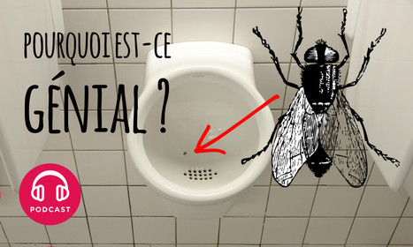 Un prix Nobel a théorisé les fausses mouches dans les urinoirs | EntomoScience | Scoop.it